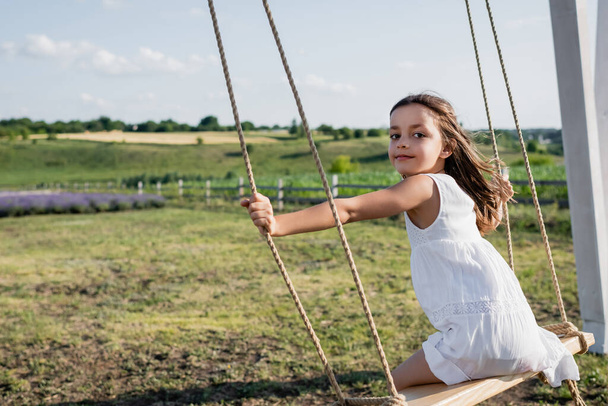 girl in summer dress looking at camera while riding swing in field - 写真・画像