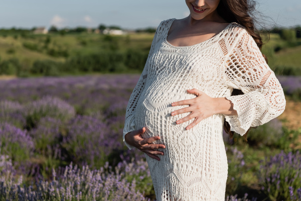 μερική άποψη της εγκύου γυναίκα στο φόρεμα αγκαλιάζει την κοιλιά της στο πεδίο λεβάντα - Φωτογραφία, εικόνα