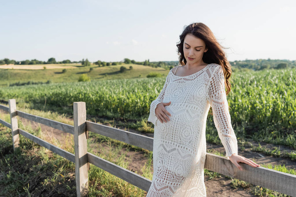 brunette pregnant woman standing at wooden fence in field - Fotografie, Obrázek