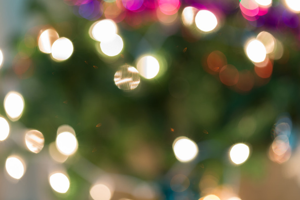 christmas light on tree, abstract defocused background - Photo, Image