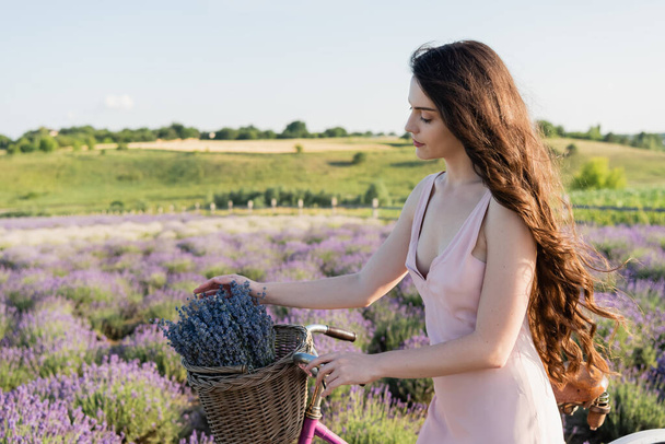brunette woman walking with bicycle and lavender flowers in wicker basket - Fotografie, Obrázek