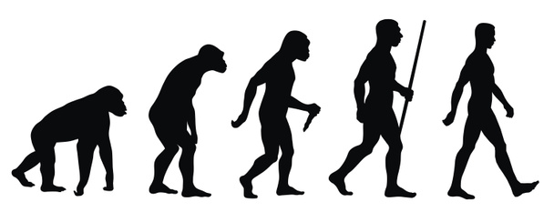 Evoluzione - Vettoriali, immagini