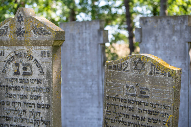 Den Helder, Hollanda, Haziran 2022. Den Helder 'deki Yahudi mezarlığında harap olmuş eski mezarlar. Yüksek kalite fotoğraf. Seçici odak. - Fotoğraf, Görsel