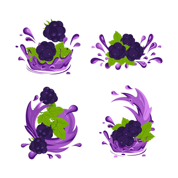 Blackberry. Berries, splashes of juice. Vector illustration  - Vector, Imagen