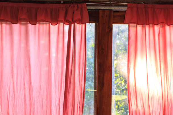 Cortina rosa
 - Foto, imagen