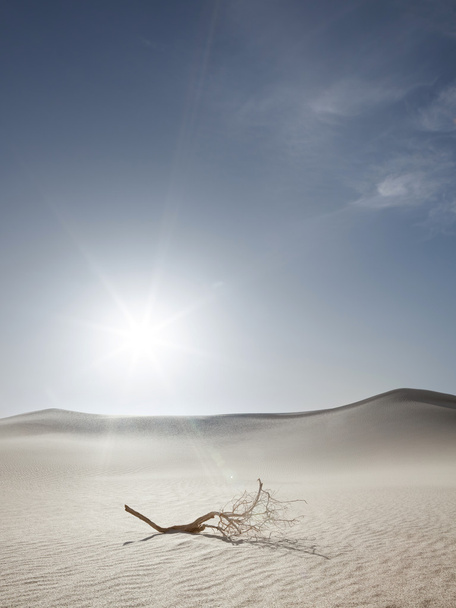 В пустынной пустыне
 - Фото, изображение