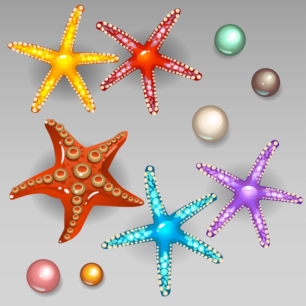 estrella de mar - Vector, imagen