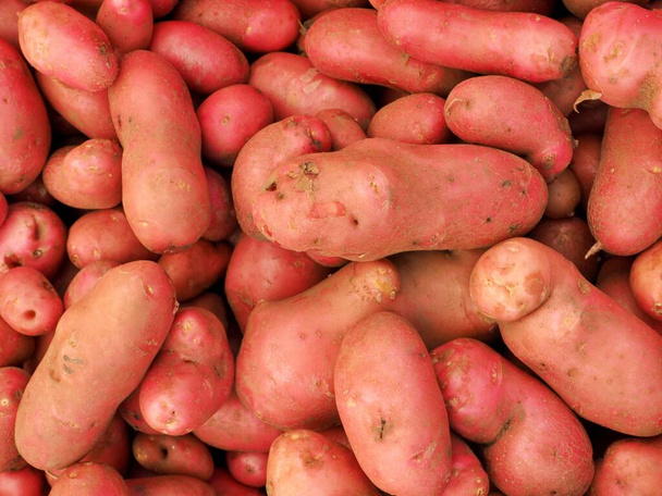 fresh organic red potaties in basket at eugene saturday market - Photo, Image