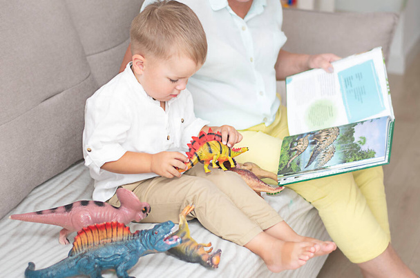Family concept. A little caucasian boy learns the name of dinosaurs from a book together with his grandmother in a home interior. Soft focus. - Foto, afbeelding
