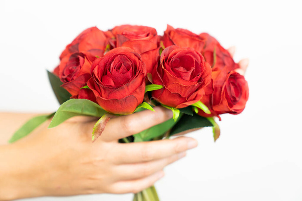 Hands holding bouquet of red roses on white background for gift. Gift for lovers and Valentine. - Photo, Image