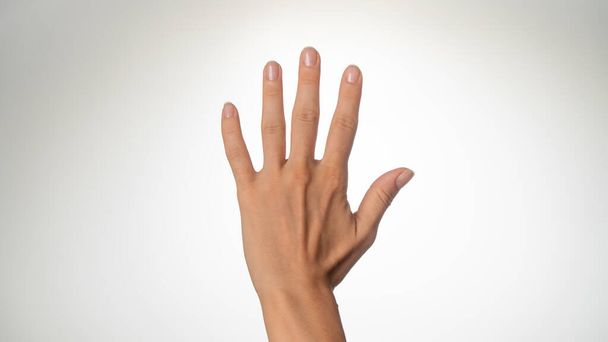 A női kezek 5 tenyérrel számolnak, vagy ötöt adnak. Kiváló minőségű fénykép - Fotó, kép