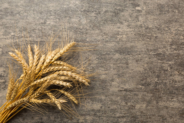 Sheaf of wheat ears close up and seeds on colored background. Natural cereal plant, harvest time concept. Top view, flat lay with copy space. world wheat crisis. - Photo, Image