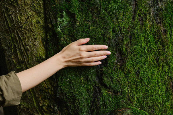 Girl hand touches a tree with moss in the wild forest. Forest ecology. Wild nature, wild life. Earth Day. Traveler girl in a beautiful green forest. Conservation, ecology, environment concept - Foto, Imagem