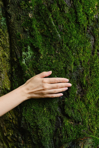 Girl hand touches a tree with moss in the wild forest. Forest ecology. Wild nature, wild life. Earth Day. Traveler girl in a beautiful green forest. Conservation, ecology, environment concept - Photo, Image