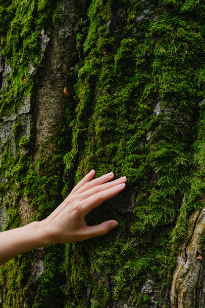 Girl hand touches a tree with moss in the wild forest. Forest ecology. Wild nature, wild life. Earth Day. Traveler girl in a beautiful green forest. Conservation, ecology, environment concept - Photo, Image