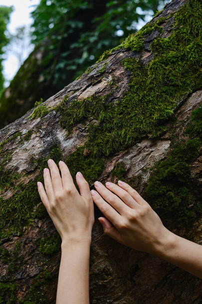 Girl hand touches a tree with moss in the wild forest. Forest ecology. Wild nature, wild life. Earth Day. Traveler girl in a beautiful green forest. Conservation, ecology, environment concept - Фото, зображення