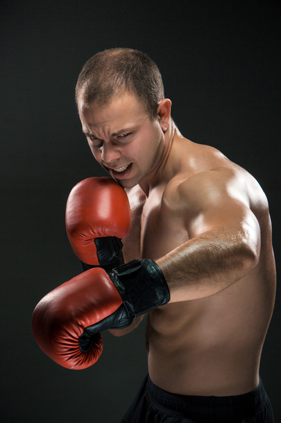 Young Boxer boxing - Фото, изображение