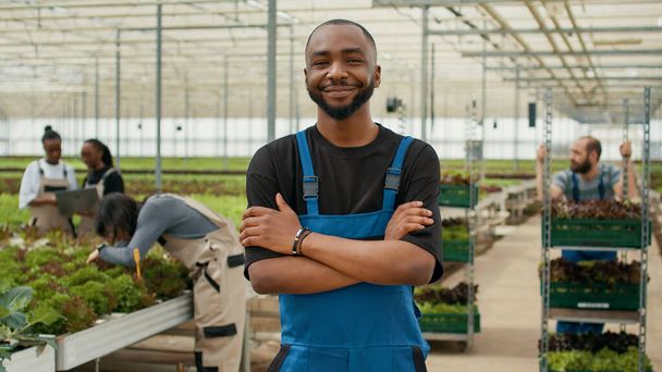Portrait of african american farmer posing with arms crossed in modern greenhouse with organically grown vegetables. Smiling worker in overall standing in lettuce farm while pickers gather crop. - Foto, imagen