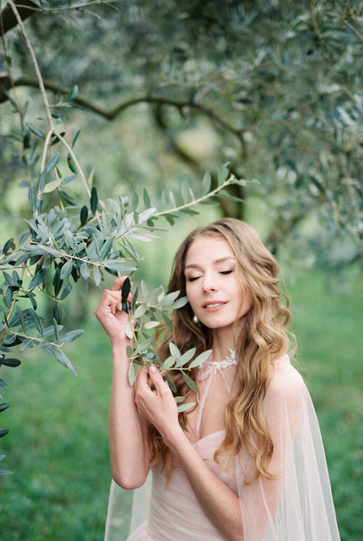 Bride touches with her hands the branches of a green olive tree in a grove. High quality photo - Fotó, kép