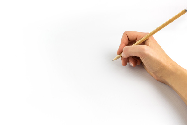 Рука держит деревянный карандаш изолирован на белом фоне
 - Фото, изображение