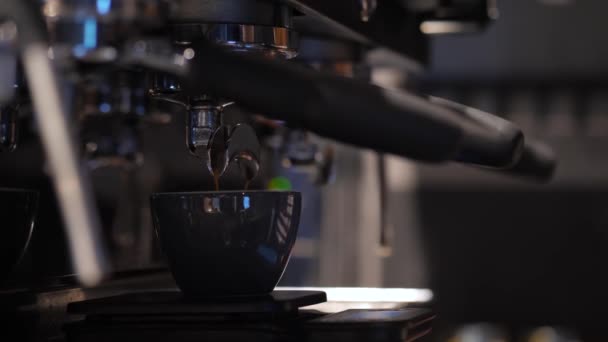 Unrecognizable barista preparing cup of coffee in coffee machine, close up. Process of making hot coffee in coffee shop - Materiaali, video