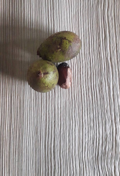 Matoa fruit from Papua, Indonesia. Matoa contains vitamins, nutrients and antioxidants. Served in wooden background, selective focus image, copy space. - Fotografie, Obrázek