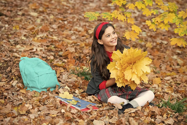 szczęśliwy dziecko w szkole mundur trzymać jesień klon liście z plecakiem i notebooka zewnątrz, jesień. - Zdjęcie, obraz