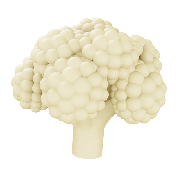 Cauliflower 3d rendering isometric icon. - Vector, Imagen