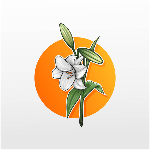 Lily flowers with orange circle background illustration vector - Вектор,изображение
