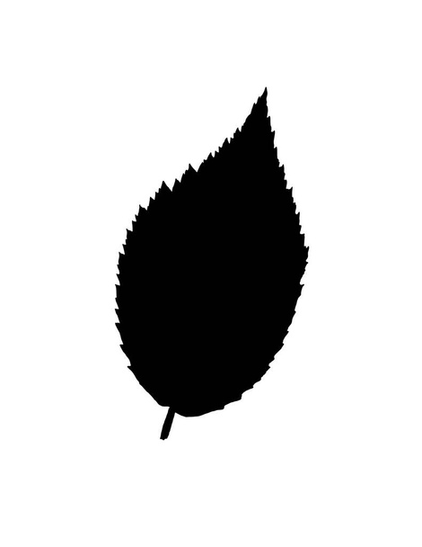 A black leaf silhouette isolated on white background - Vektor, obrázek