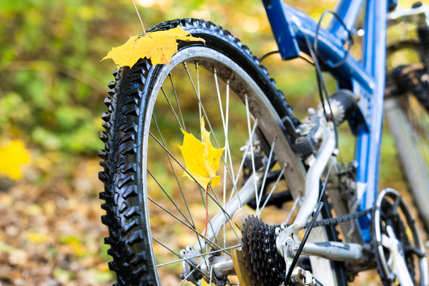 Bicycle in the autumn forest closeup . Yellow autumn leaves. Concept of autumn Cycling and sports. - Zdjęcie, obraz