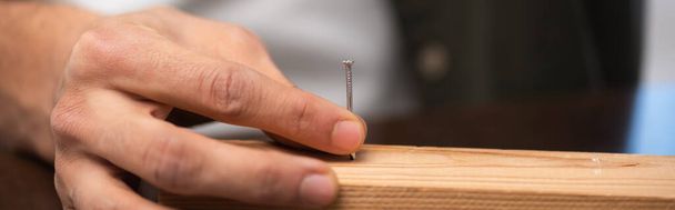 Cropped view of craftsman holding nail near wooden plank at home, banner  - Photo, image