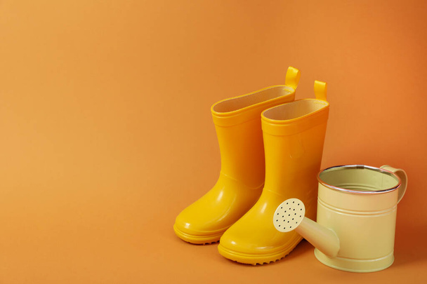 Rubber boots and watering can, space for text - Foto, immagini