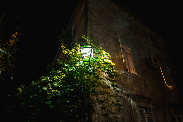 glowing lantern hanging on wall with growing ivy - Fotó, kép