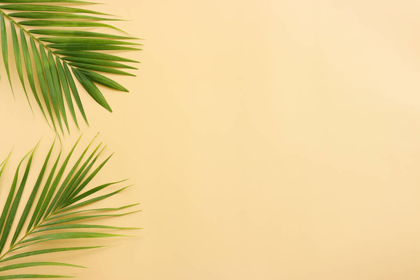 Image of tropical green palm over yellow pastel background - Foto, Imagem
