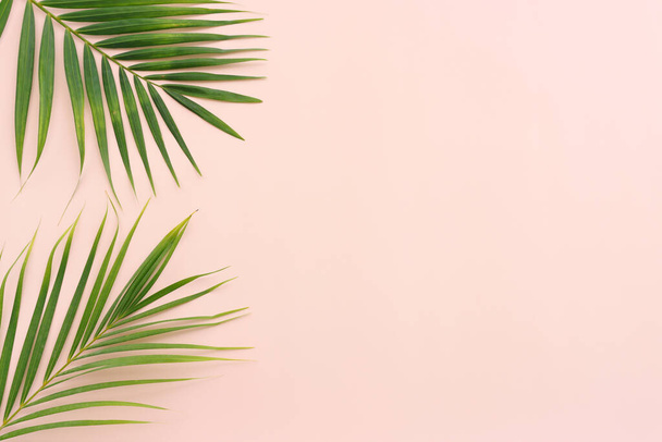 Image of tropical green palm over pink pastel background - Fotoğraf, Görsel