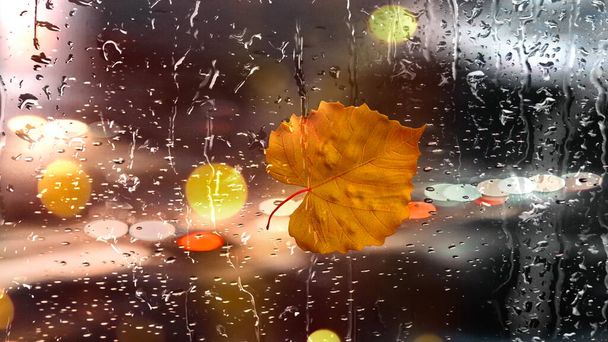 Autumn rainy city ,yellow leaves and  rain drops on wet  window glass ,Rainy weather, pedestrian with umbrella ,  bokeh bluured night city light  ,cold  season background template banner  - Valokuva, kuva