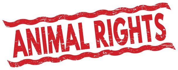 ANIMAL RIGHTS text written on red lines stamp sign. - Φωτογραφία, εικόνα