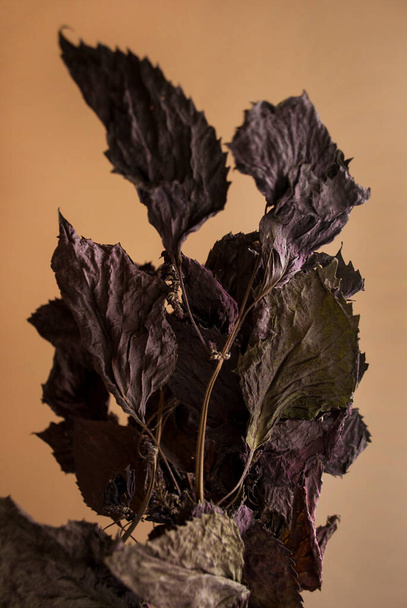 Dried red rubin basil leaves herbs. Natural healthy product - Foto, afbeelding