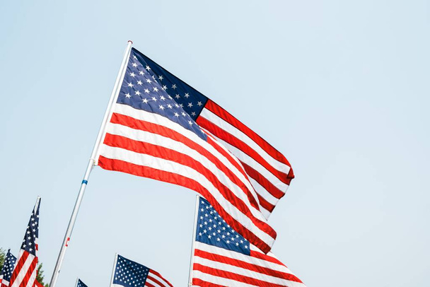 The American flags on a field on a cloudless day - 写真・画像