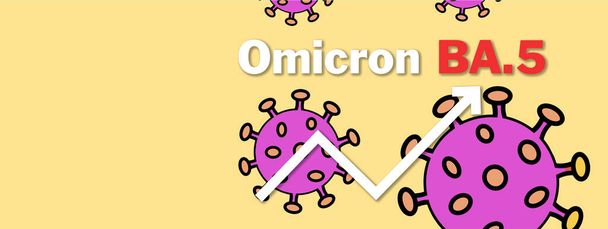 Omicron variant BA.5. The arrow shows a dramatic increase in disease. "Omicron BA.5" text with images of coronavirus. banner web image - Фото, изображение