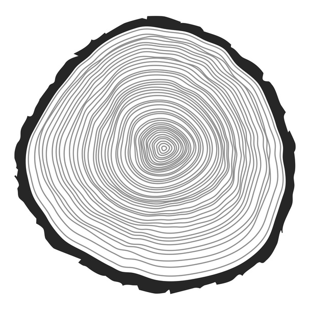 Деревянные кольца - Вектор,изображение