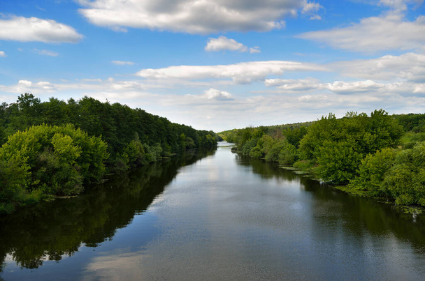 River in a forest area against a blue sky - Фото, зображення