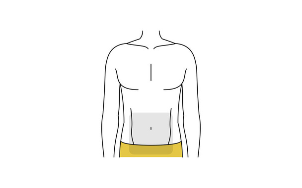 Men's hair removal area, entire abdomen - Διάνυσμα, εικόνα