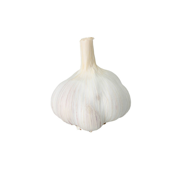 Garlic bulbs ( Allium sativum L.) isolated on white background. Garlic helps strengthens the body's immune system. - Foto, Bild