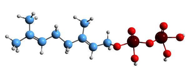 3D image of Geranyl pyrophosphate skeletal formula - molecular chemical structure of geranyl diphosphate isolated on white background - Фото, изображение