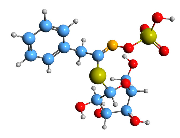 3D image of Glucotropaeolin skeletal formula - molecular chemical structure of benzylglucosinolate isolated on white background - Foto, afbeelding