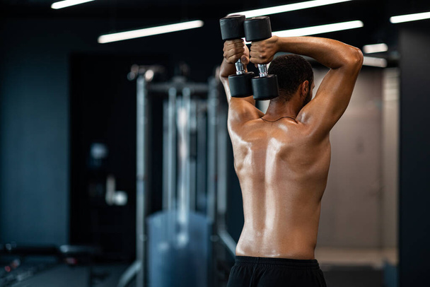 Shirtless Muscular Black Man Training With Two Dumbbells At Gym, Rear View Of Sporty Young African American Male Athlete With Naked Torso Exercising In Modern Fitness Club, Enjoying Workout - Zdjęcie, obraz