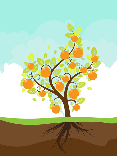 様式化されたオレンジの木 - ベクター画像