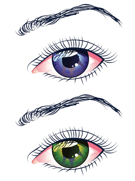 Violet and Green Eyes - Vector, Image